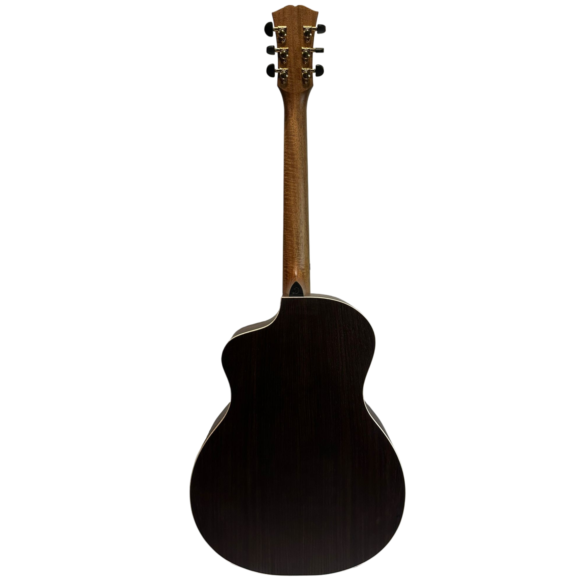 Chard GD-sws